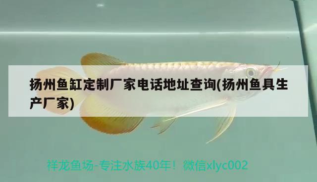 揚(yáng)州魚缸定制廠家電話地址查詢(揚(yáng)州魚具生產(chǎn)廠家)