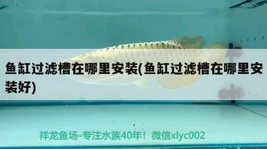 魚(yú)缸過(guò)濾槽在哪里安裝(魚(yú)缸過(guò)濾槽在哪里安裝好)