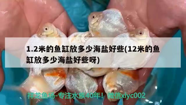 1.2米的魚缸放多少海鹽好些(12米的魚缸放多少海鹽好些呀)