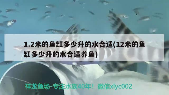 1.2米的魚缸多少升的水合適(12米的魚缸多少升的水合適養(yǎng)魚)