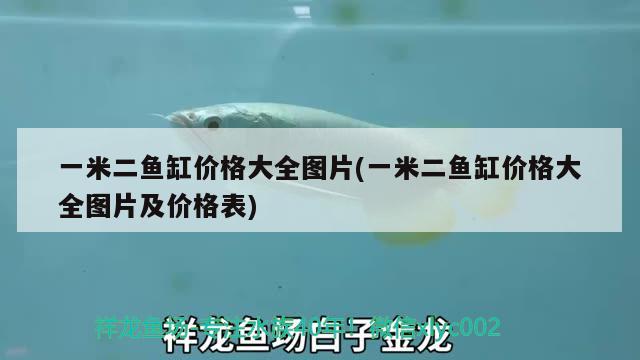 一米二魚缸價(jià)格大全圖片(一米二魚缸價(jià)格大全圖片及價(jià)格表)