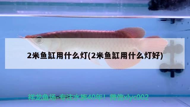 2米魚缸用什么燈(2米魚缸用什么燈好) 觀賞魚水族批發(fā)市場