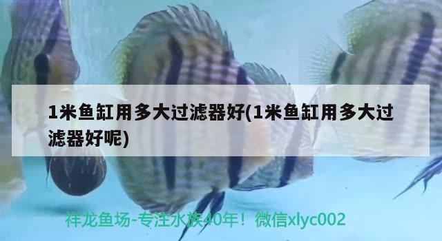 1米魚缸用多大過濾器好(1米魚缸用多大過濾器好呢)