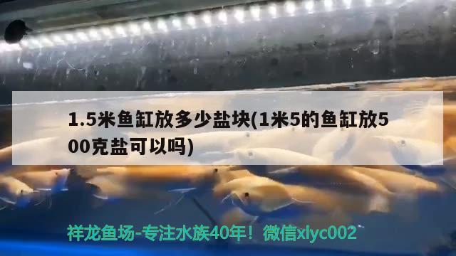 1.5米魚(yú)缸放多少鹽塊(1米5的魚(yú)缸放500克鹽可以嗎)