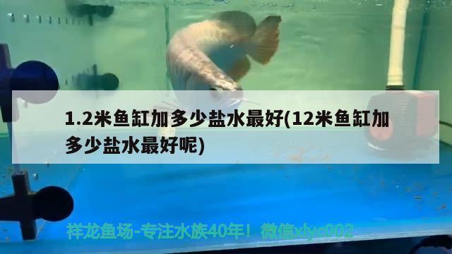 1.2米魚缸加多少鹽水最好(12米魚缸加多少鹽水最好呢) 魚缸凈水劑