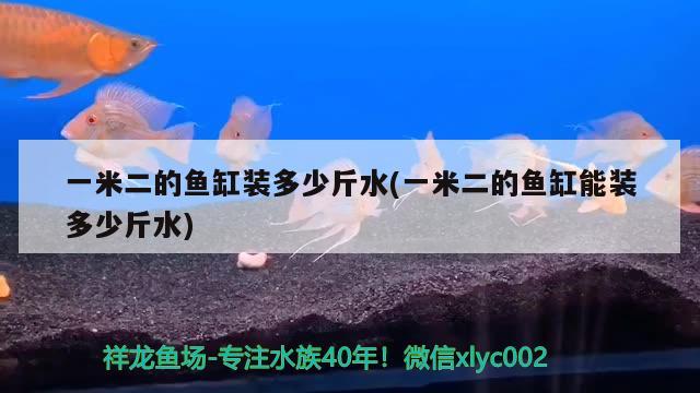 一米二的魚缸裝多少斤水(一米二的魚缸能裝多少斤水)