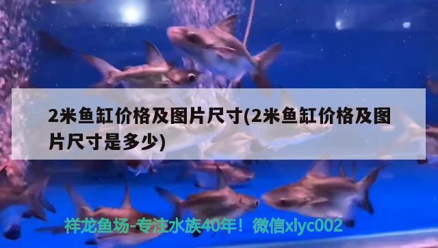 2米魚缸價(jià)格及圖片尺寸(2米魚缸價(jià)格及圖片尺寸是多少)