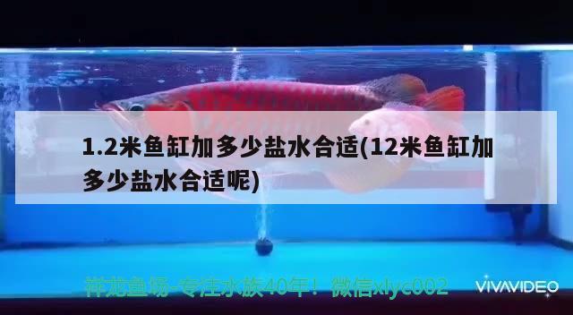 1.2米魚缸加多少鹽水合適(12米魚缸加多少鹽水合適呢)