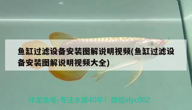 魚(yú)缸過(guò)濾設(shè)備安裝圖解說(shuō)明視頻(魚(yú)缸過(guò)濾設(shè)備安裝圖解說(shuō)明視頻大全)