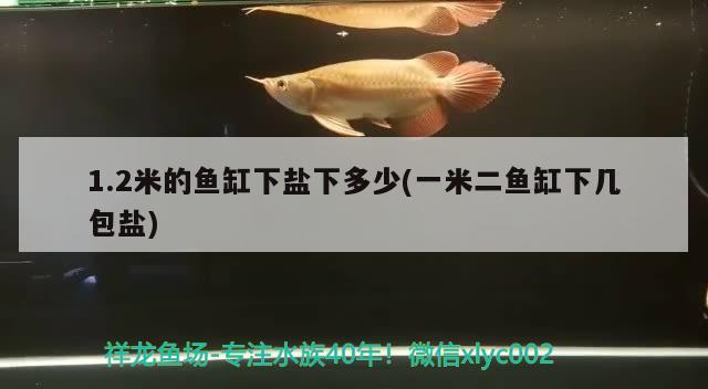 1.2米的魚(yú)缸下鹽下多少(一米二魚(yú)缸下幾包鹽)