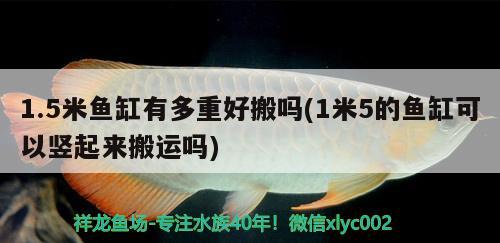 1.5米魚缸有多重好搬嗎(1米5的魚缸可以豎起來搬運嗎)