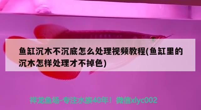 魚缸沉木不沉底怎么處理視頻教程(魚缸里的沉木怎樣處理才不掉色) 印尼虎苗