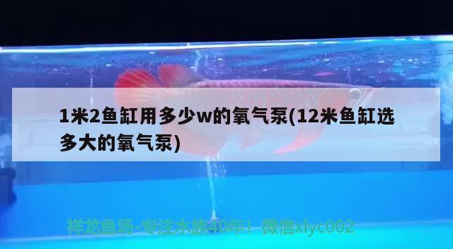 1米2魚缸用多少w的氧氣泵(12米魚缸選多大的氧氣泵) 胭脂孔雀龍魚