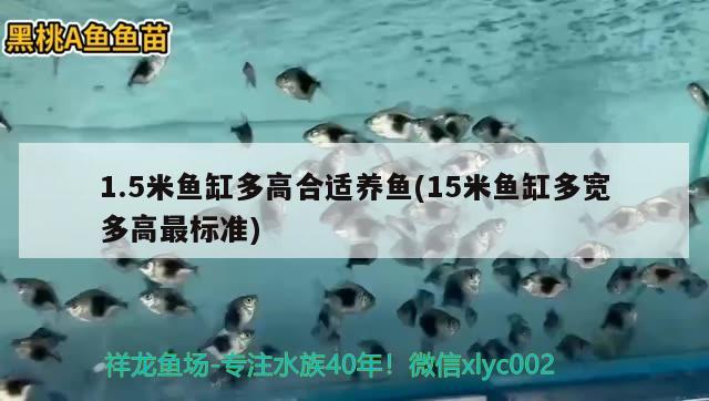 1.5米魚缸多高合適養(yǎng)魚(15米魚缸多寬多高最標(biāo)準(zhǔn))