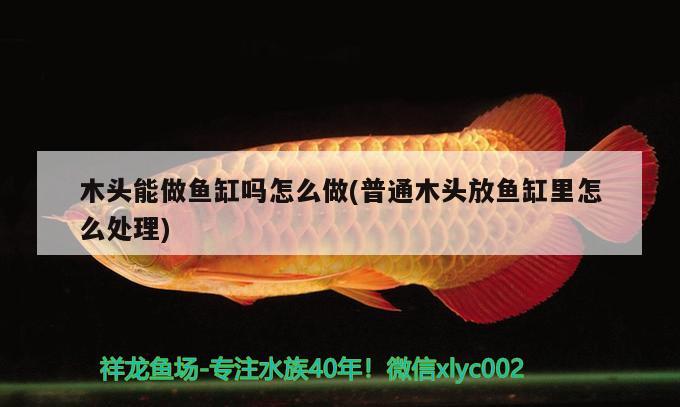 木頭能做魚缸嗎怎么做(普通木頭放魚缸里怎么處理)