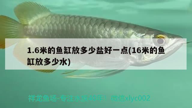 1.6米的魚缸放多少鹽好一點(16米的魚缸放多少水)