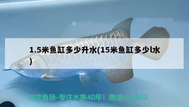 1.5米魚缸多少升水(15米魚缸多少l水)