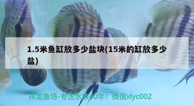 1.5米魚缸放多少鹽塊(15米的缸放多少鹽) 祥龍魚場