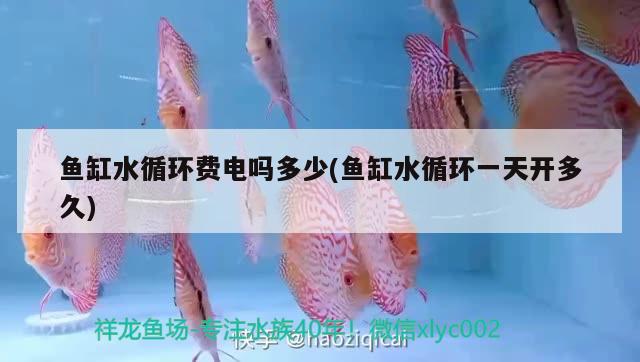 魚缸水循環(huán)費(fèi)電嗎多少(魚缸水循環(huán)一天開多久)