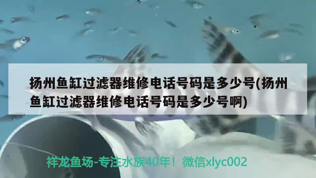 揚(yáng)州魚(yú)缸過(guò)濾器維修電話號(hào)碼是多少號(hào)(揚(yáng)州魚(yú)缸過(guò)濾器維修電話號(hào)碼是多少號(hào)啊) 魚(yú)缸清潔用具