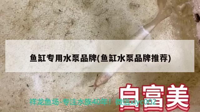 魚缸專用水泵品牌(魚缸水泵品牌推薦) 魚缸水泵