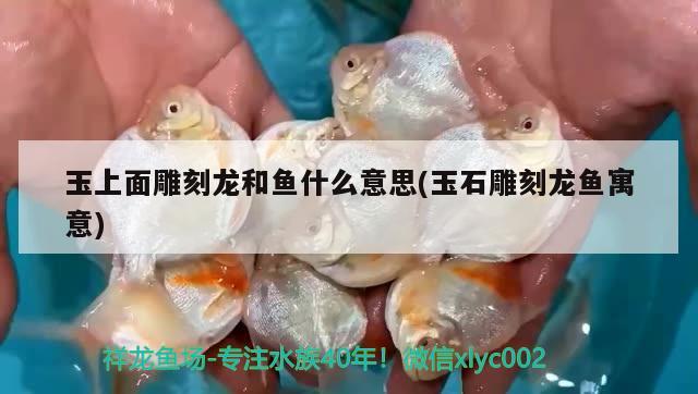 玉上面雕刻龍和魚什么意思(玉石雕刻龍魚寓意)