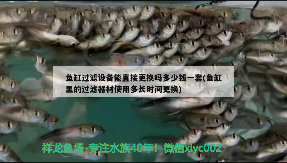 魚缸過濾設(shè)備能直接更換嗎多少錢一套(魚缸里的過濾器材使用多長(zhǎng)時(shí)間更換)