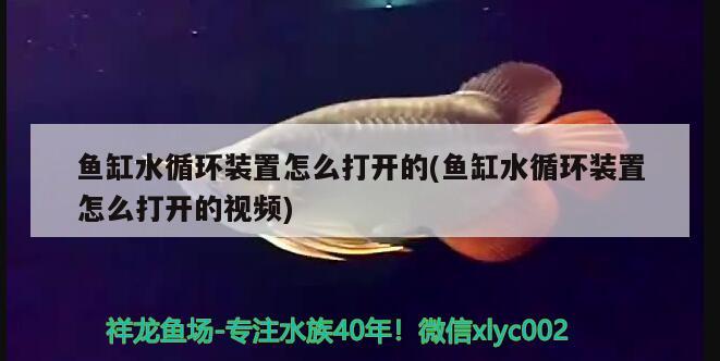 魚缸水循環(huán)裝置怎么打開的(魚缸水循環(huán)裝置怎么打開的視頻)