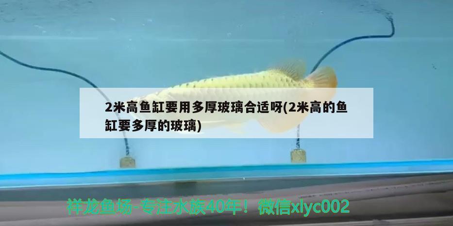 2米高魚缸要用多厚玻璃合適呀(2米高的魚缸要多厚的玻璃)