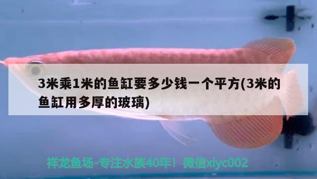 3米乘1米的魚缸要多少錢一個平方(3米的魚缸用多厚的玻璃) 女王大帆魚苗