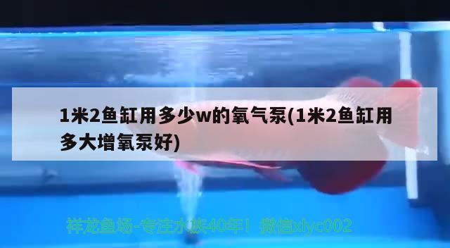 1米2魚缸用多少w的氧氣泵(1米2魚缸用多大增氧泵好) 純血皇冠黑白魟魚