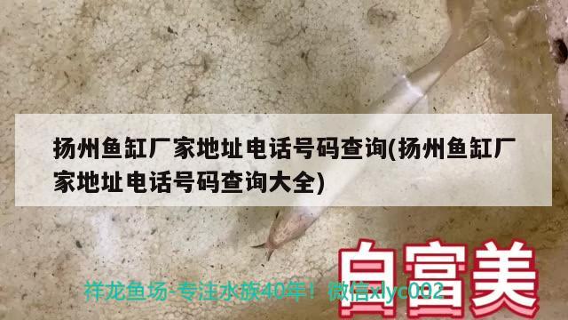 揚州魚缸廠家地址電話號碼查詢(揚州魚缸廠家地址電話號碼查詢大全)