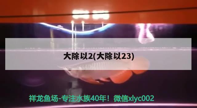 大除以2(大除以23) 觀賞魚