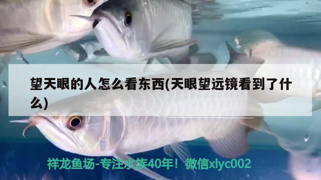 望天眼的人怎么看東西(天眼望遠(yuǎn)鏡看到了什么) 觀賞魚