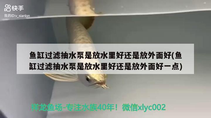 魚缸過濾抽水泵是放水里好還是放外面好(魚缸過濾抽水泵是放水里好還是放外面好一點(diǎn))