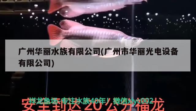 廣州華麗水族有限公司(廣州市華麗光電設(shè)備有限公司) 2025第29屆中國(guó)國(guó)際寵物水族展覽會(huì)CIPS（長(zhǎng)城寵物展2025 CIPS）