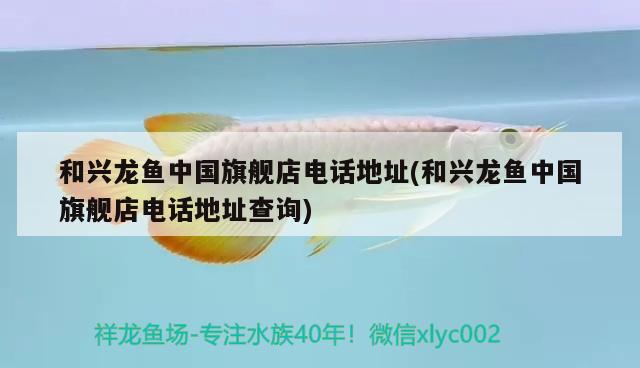 和興龍魚中國旗艦店電話地址(和興龍魚中國旗艦店電話地址查詢)