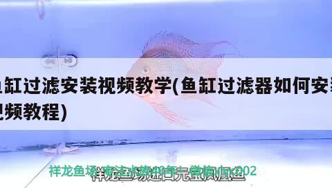 魚缸過濾安裝視頻教學(xué)(魚缸過濾器如何安裝視頻教程)