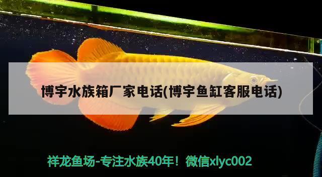 博宇水族箱廠家電話(博宇魚缸客服電話) 魚缸/水族箱