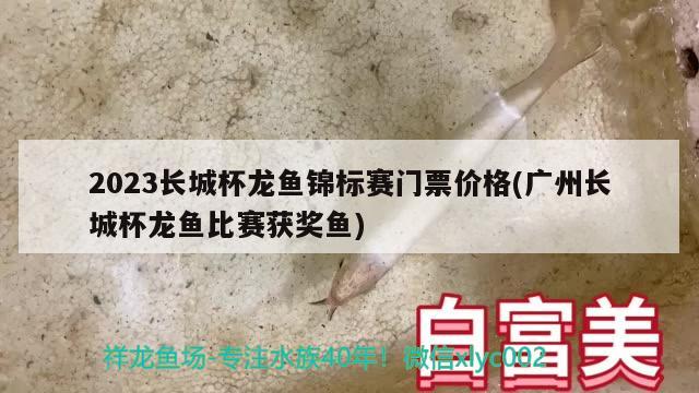 2023長城杯龍魚錦標賽門票價格(廣州長城杯龍魚比賽獲獎魚) 2024第28屆中國國際寵物水族展覽會CIPS（長城寵物展2024 CIPS） 第2張