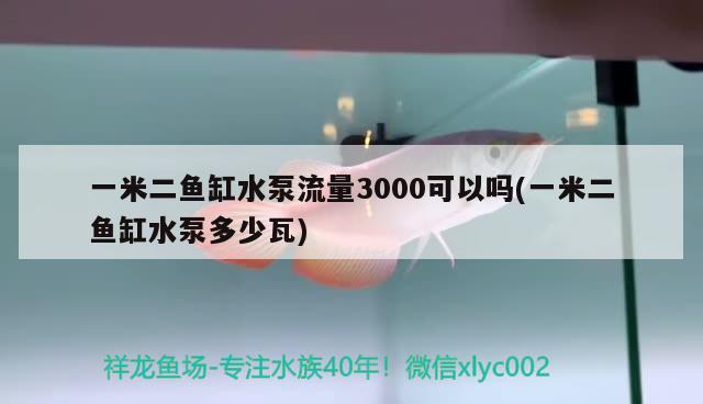 一米二魚缸水泵流量3000可以嗎(一米二魚缸水泵多少瓦) 魚缸水泵 第2張