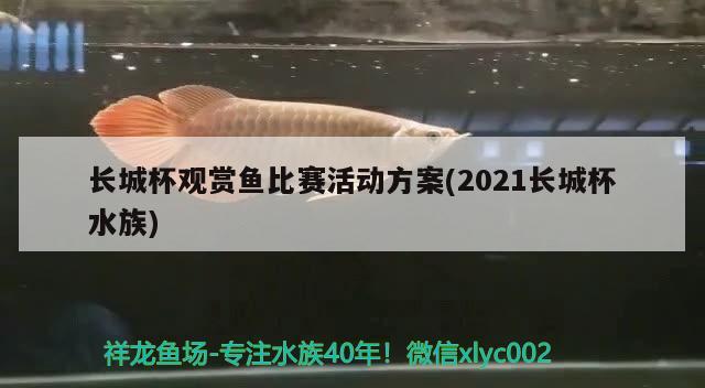 長城杯觀賞魚比賽活動方案(2021長城杯水族)