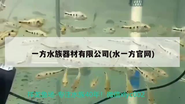 一方水族器材有限公司(水一方官網(wǎng))