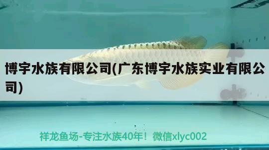 博宇水族有限公司(廣東博宇水族實(shí)業(yè)有限公司)