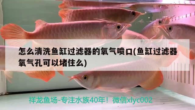 怎么清洗魚缸過濾器的氧氣噴口(魚缸過濾器氧氣孔可以堵住么) 祥龍藍(lán)珀金龍魚