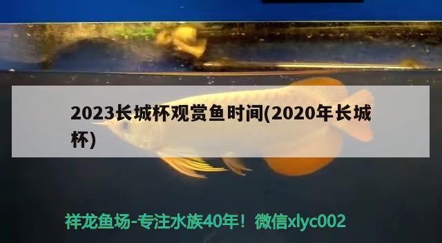 2023長城杯觀賞魚時間(2020年長城杯) 2024第28屆中國國際寵物水族展覽會CIPS（長城寵物展2024 CIPS）