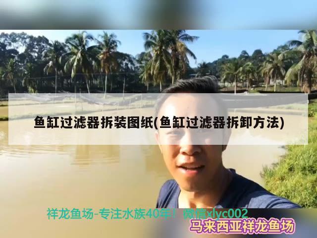 魚缸過濾器拆裝圖紙(魚缸過濾器拆卸方法) 皇冠黑白魟魚