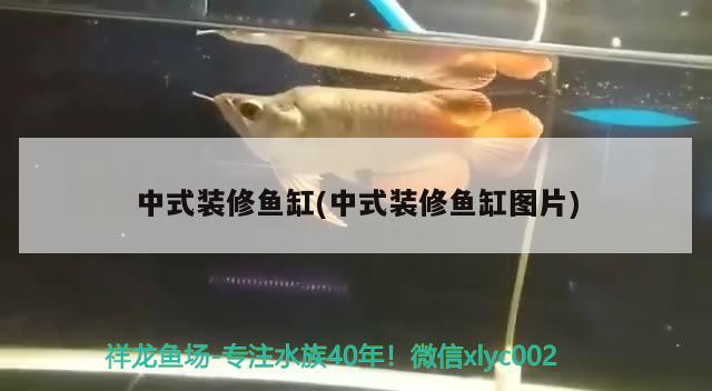 中式裝修魚缸(中式裝修魚缸圖片)