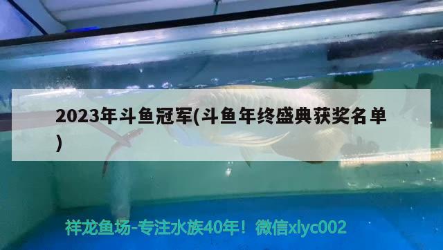 2023年斗魚冠軍(斗魚年終盛典獲獎名單) 2024第28屆中國國際寵物水族展覽會CIPS（長城寵物展2024 CIPS）