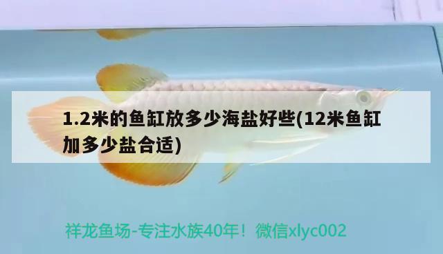 1.2米的魚缸放多少海鹽好些(12米魚缸加多少鹽合適)